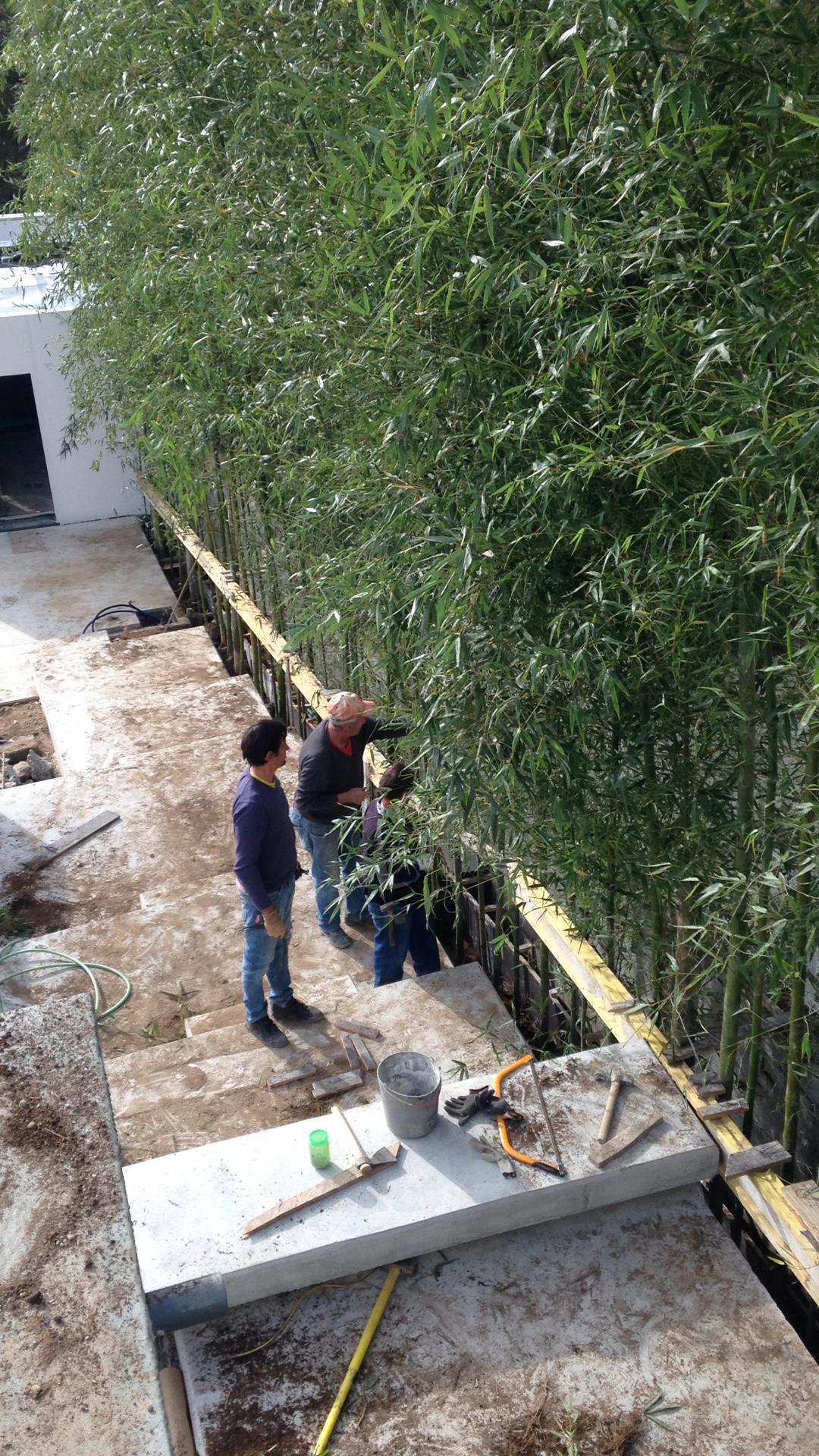 Sebe japonesa em bambu para paisagismo