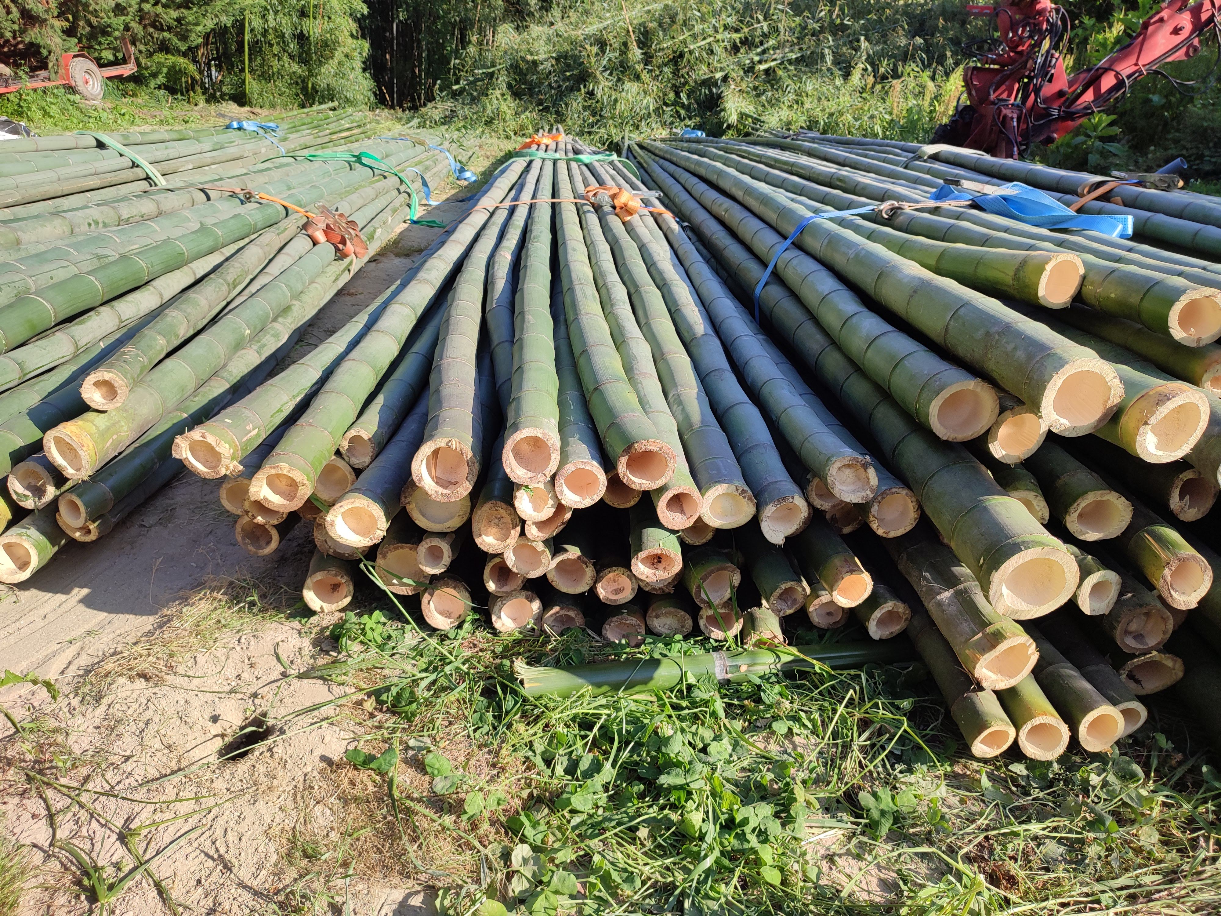 Preparing bamboo